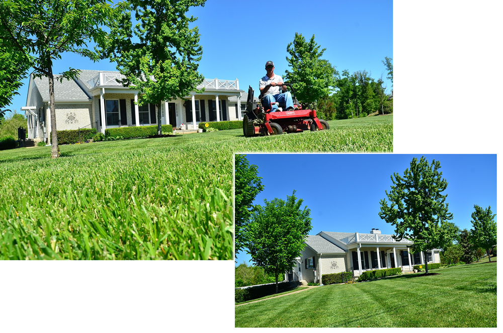 residential landscaping services